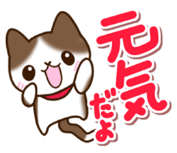 Brown and white cat. sticker #13084850