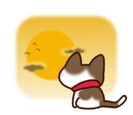 Brown and white cat. sticker #13084852