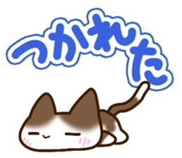 Brown and white cat. sticker #13084855