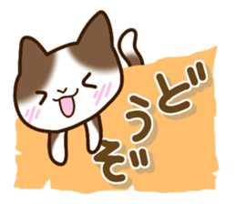 Brown and white cat. sticker #13084857