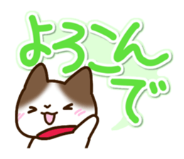 Brown and white cat. sticker #13084867