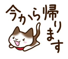 Brown and white cat. sticker #13084871