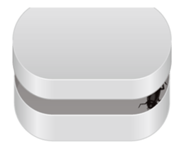 Cockroach moving 3 (English) sticker #13087430