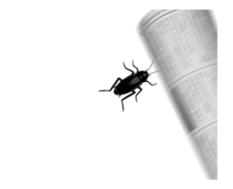 Cockroach moving 3 (English) sticker #13087431