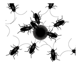 Cockroach moving 3 (English) sticker #13087433