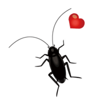 Cockroach moving 3 (English) sticker #13087446