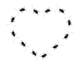 Cockroach moving 3 (English) sticker #13087448