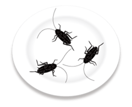 Cockroach moving 3 (English) sticker #13087449