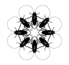 Cockroach moving 3 (English) sticker #13087451