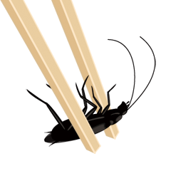 Cockroach moving 3 (English)