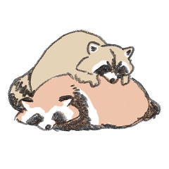 Raccoon dog and raccoon