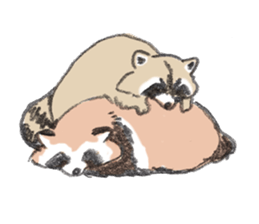 Raccoon dog and raccoon sticker #13087936