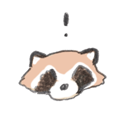 Raccoon dog and raccoon sticker #13087940