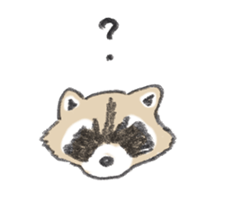 Raccoon dog and raccoon sticker #13087941