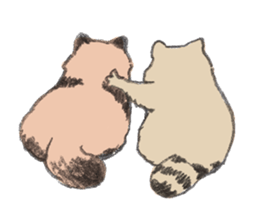Raccoon dog and raccoon sticker #13087946