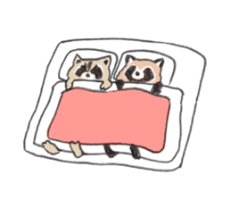 Raccoon dog and raccoon sticker #13087948