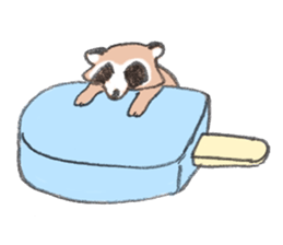 Raccoon dog and raccoon sticker #13087952