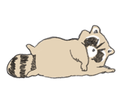 Raccoon dog and raccoon sticker #13087954