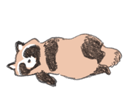 Raccoon dog and raccoon sticker #13087955