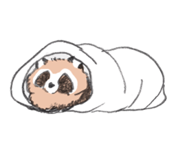 Raccoon dog and raccoon sticker #13087959