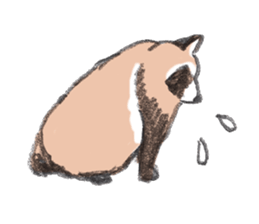 Raccoon dog and raccoon sticker #13087962