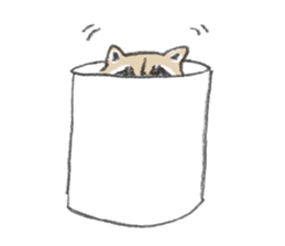 Raccoon dog and raccoon sticker #13087966