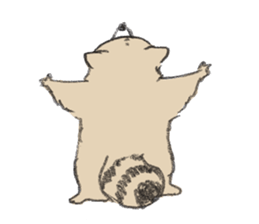 Raccoon dog and raccoon sticker #13087970