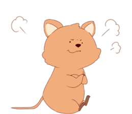 Click ACCA wallaby seems happy sticker #13088960