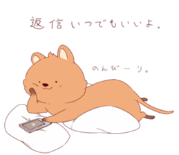 Click ACCA wallaby seems happy sticker #13088976