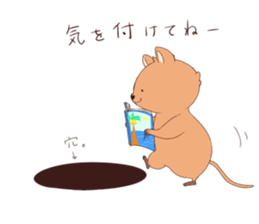 Click ACCA wallaby seems happy sticker #13088982