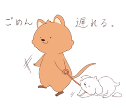 Click ACCA wallaby seems happy sticker #13088986