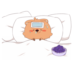 Click ACCA wallaby seems happy sticker #13088989