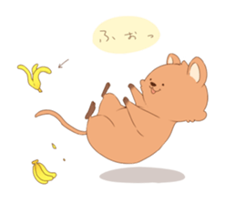 Click ACCA wallaby seems happy sticker #13088994