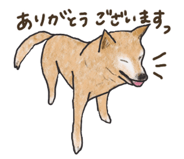 kenchiman sticker #13089639