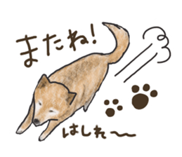 kenchiman sticker #13089665