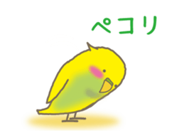 The Parakeet Animated Stickers sticker #13091545