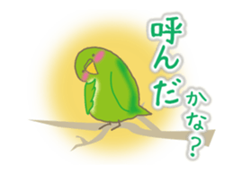 The Parakeet Animated Stickers sticker #13091549
