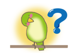 The Parakeet Animated Stickers sticker #13091550