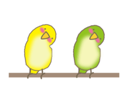 The Parakeet Animated Stickers sticker #13091555