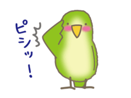 The Parakeet Animated Stickers sticker #13091556
