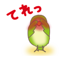 The Parakeet Animated Stickers sticker #13091563