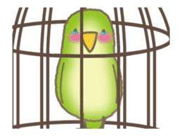 The Parakeet Animated Stickers sticker #13091564