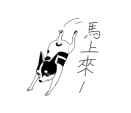 Greedy Dog - Flower sticker #13091597