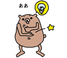 A B-grade bear sticker #13091931