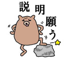 A B-grade bear sticker #13091944