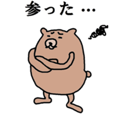 A B-grade bear sticker #13091946