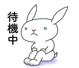 Urgent transmission of rabbit sticker #13093594