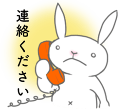 Urgent transmission of rabbit sticker #13093604