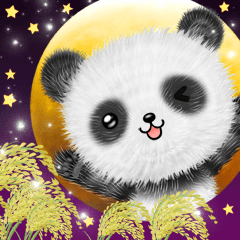 pandanda2 Autumn&Winter