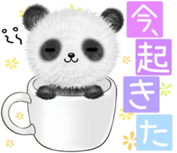 pandanda2 Autumn&Winter sticker #13094112